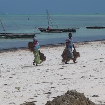 Lady and man carrying seaweed